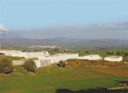 SidiMezghiche1
