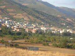 Tamalous1