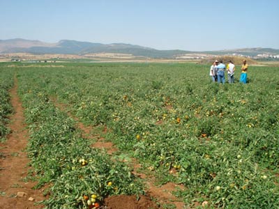 benazouz les agriculteurs