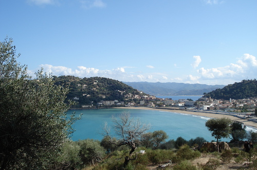 zitouna2